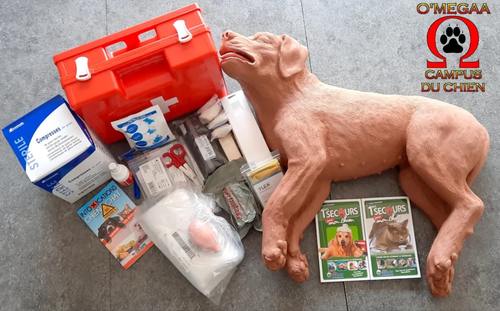 Formations 8 premier-secours-canin_1